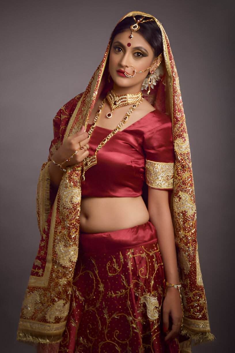 stylish lehenga blouse design